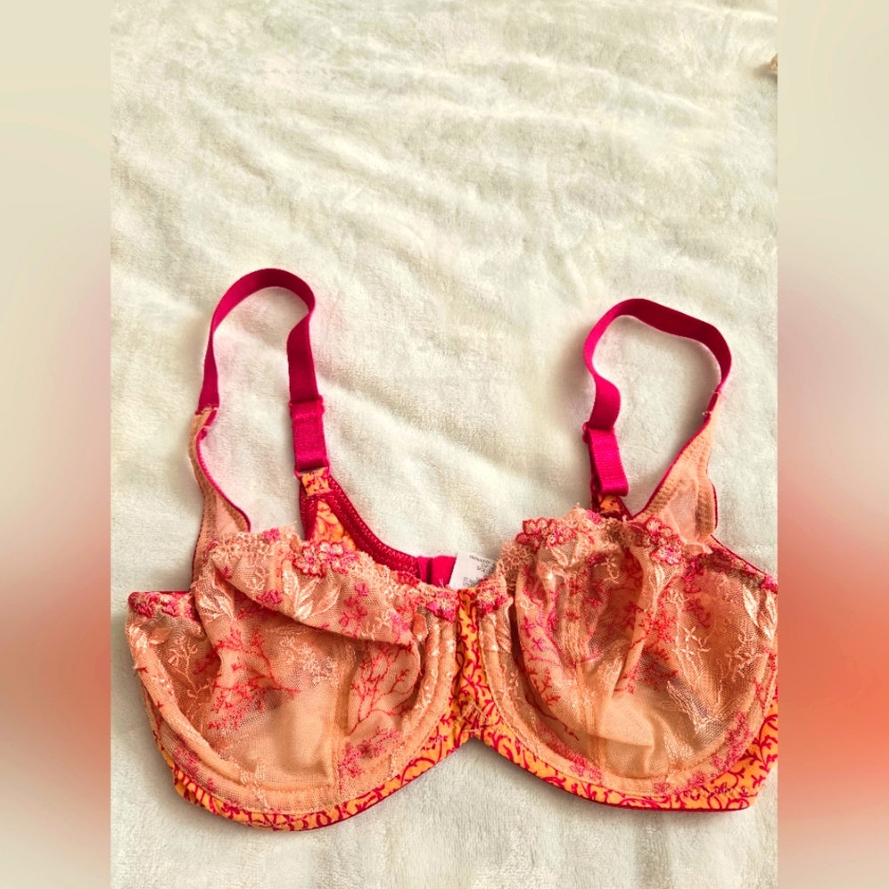 Whimsy embroidered 32D underwire bra